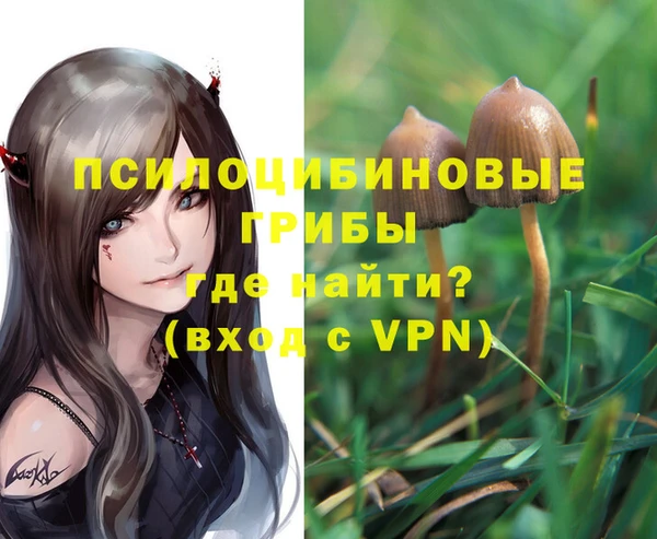 spice Верея