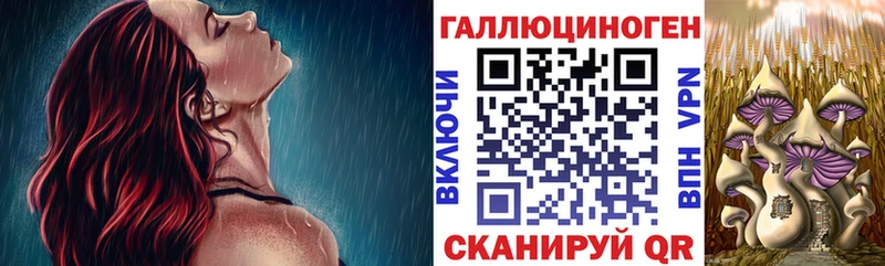 Галлюциногенные грибы Psilocybe  Карабаново 